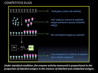 COMPETITIVE ELISA
Under standard condition ,the enzyme activity measured is proportional to the
proportion of labelled antigen in the mixture of labelled and unlabelled antigen.
 