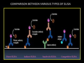 COMPARISON BETWEEN VARIOUS TYPES OF ELISA
 