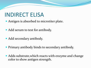 INDIRECT ELISA
 Antigen is absorbed to microtiter plate.
 Add serum to test for antibody.
 Add secondary antibody.
 Primary antibody binds to secondary antibody.
 Adds substrate,which reacts with enzyme and change
color to show antigen strength.
 