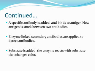 Continued…
 A specific antibody is added and binds to antigen.Now
antigen is stuck between two antibodies.
 Enzyme linked secondary antibodies are applied to
detect antibodies.
 Substrate is added the enzyme reacts with substrate
that changes color.
 