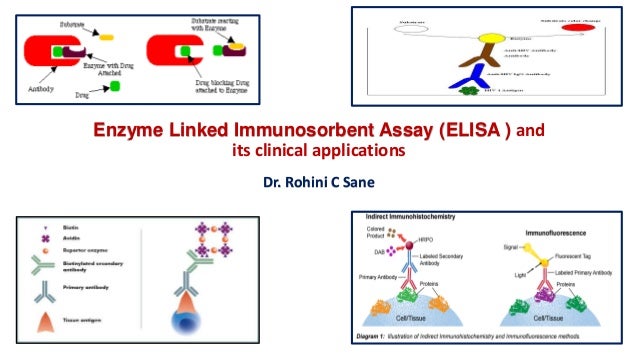 enzyme linked immunosorbent assay elisa and its clinical significan enzyme linked immunosorbent assay