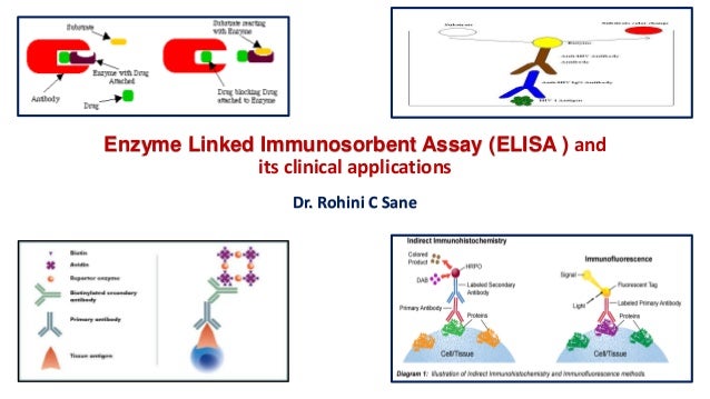 enzyme-linked-immunosorbent-assay-elisa-and-its-clinical-significan