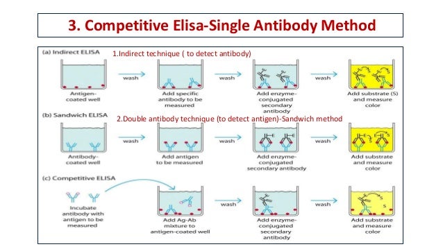 enzyme linked immunosorbent assay elisa and its clinical significan competitive elisa