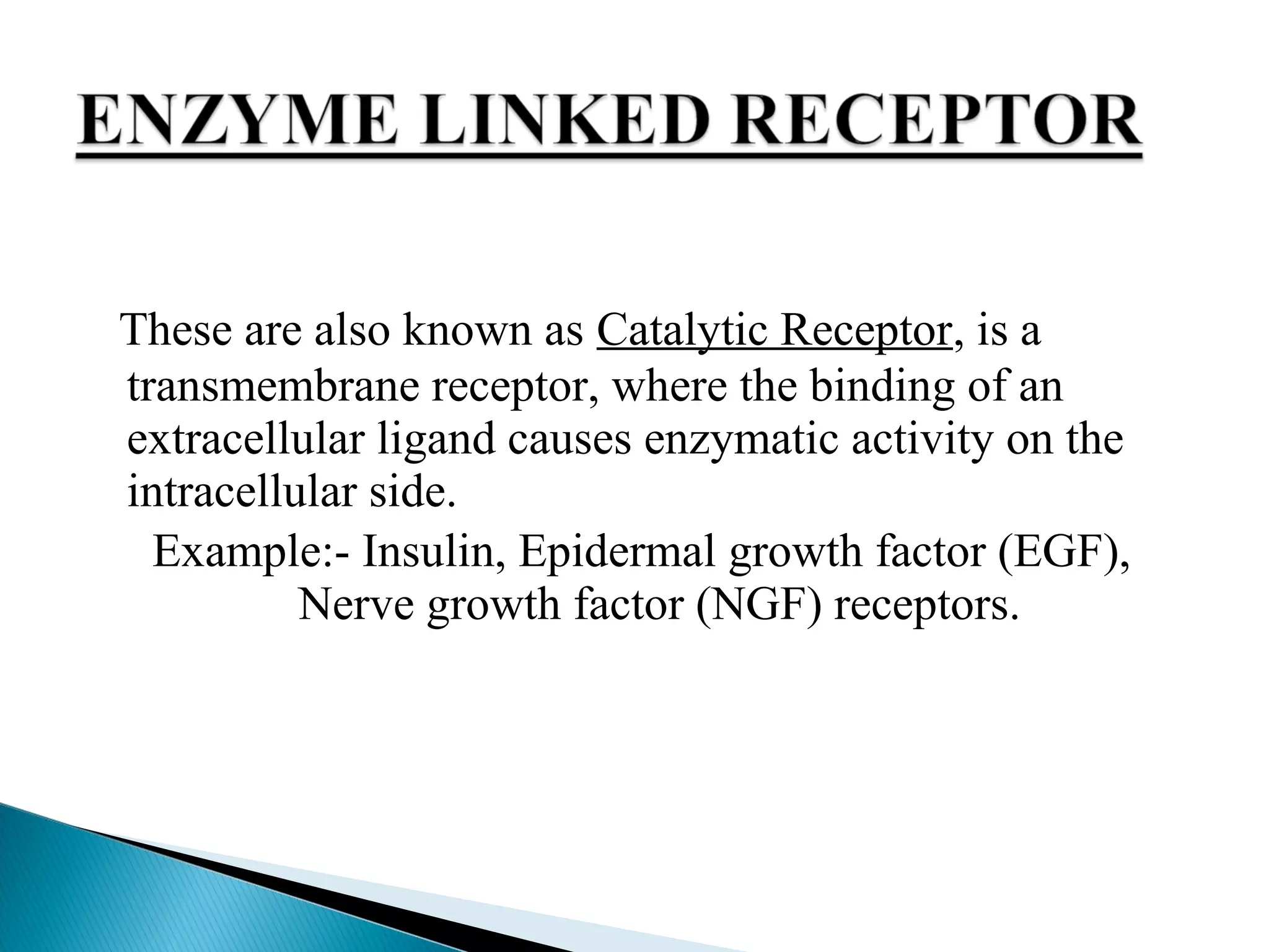 These are also known as Catalytic Receptor, is a
transmembrane receptor, where the binding of an
extracellular ligand causes enzymatic activity on the
intracellular side.
Example:- Insulin, Epidermal growth factor (EGF),
Nerve growth factor (NGF) receptors.
 