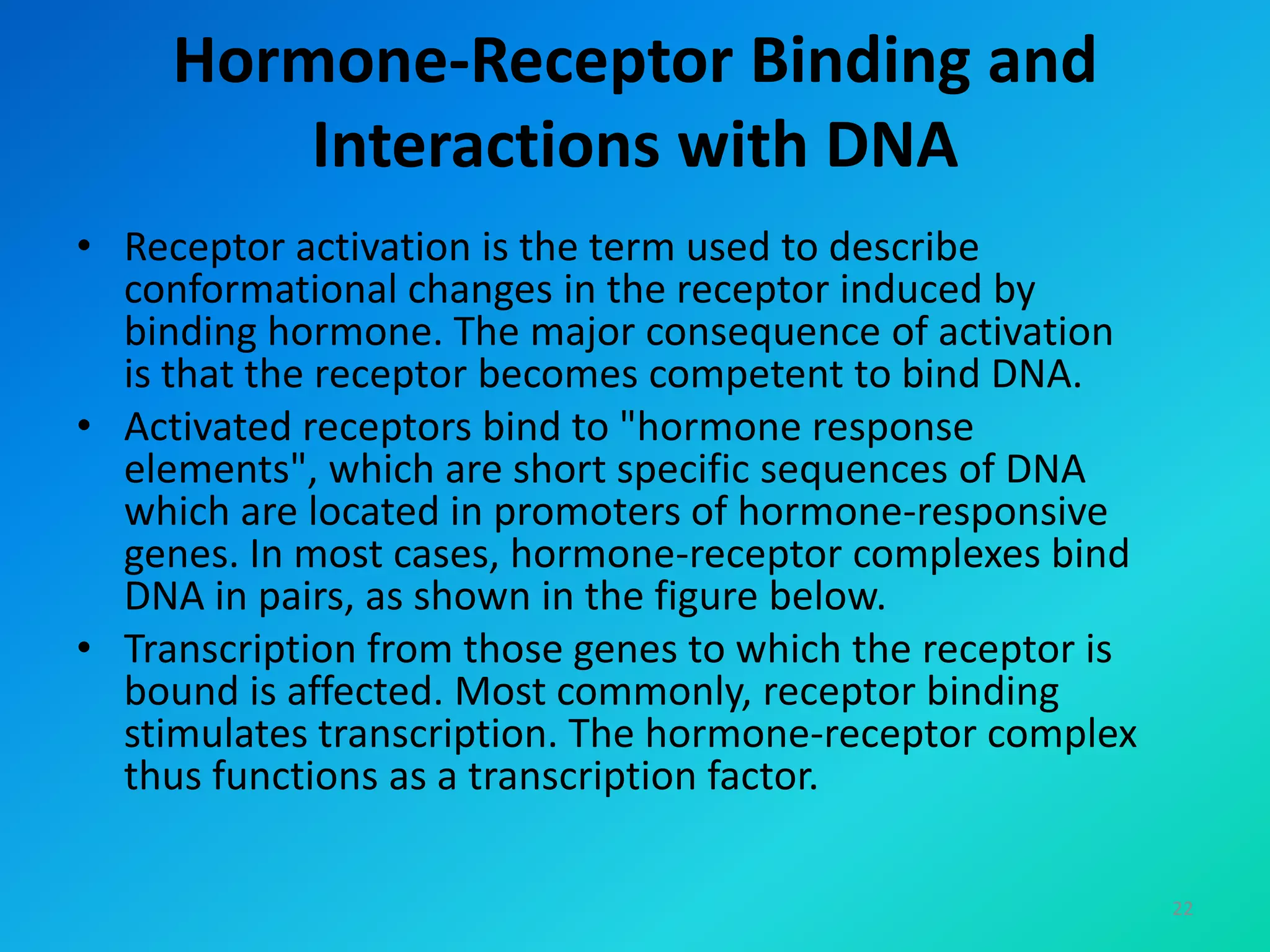 Hormone-Receptor Binding and
Interactions with DNA
• Receptor activation is the term used to describe
conformational changes in the receptor induced by
binding hormone. The major consequence of activation
is that the receptor becomes competent to bind DNA.
• Activated receptors bind to "hormone response
elements", which are short specific sequences of DNA
which are located in promoters of hormone-responsive
genes. In most cases, hormone-receptor complexes bind
DNA in pairs, as shown in the figure below.
• Transcription from those genes to which the receptor is
bound is affected. Most commonly, receptor binding
stimulates transcription. The hormone-receptor complex
thus functions as a transcription factor.
22
 