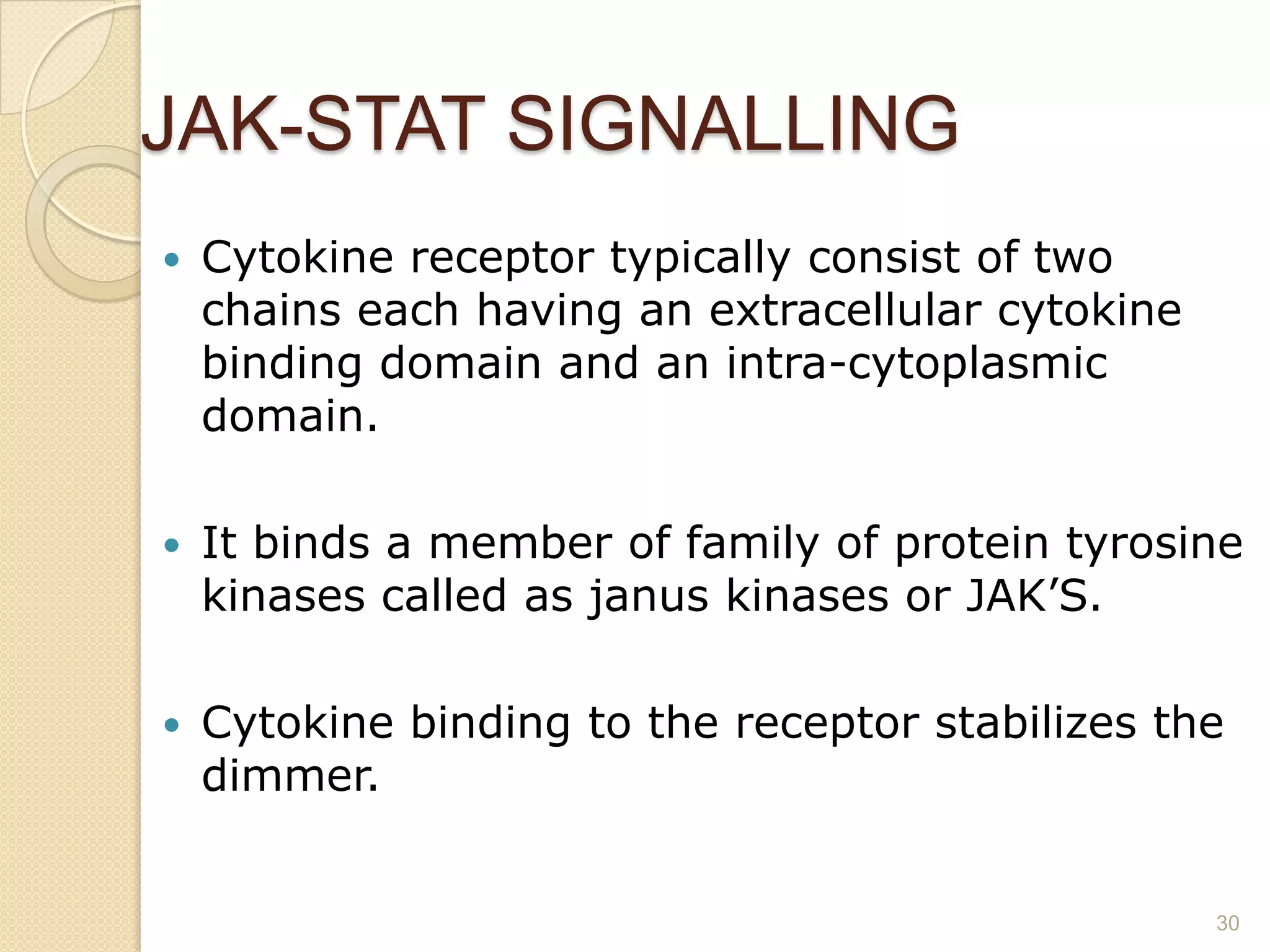 JAK-STAT SIGNALLING
 Cytokine receptor typically consist of two
chains each having an extracellular cytokine
binding domain and an intra-cytoplasmic
domain.
 It binds a member of family of protein tyrosine
kinases called as janus kinases or JAK’S.
 Cytokine binding to the receptor stabilizes the
dimmer.
30
 