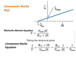 Lineweaver-Burke
Plot
Michaelis-Menten Equation
Lineweaver-Burke
Equation
 