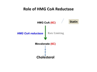 Role of HMG CoA Reductase
HMG CoA (6C)
Mevalonate (6C)
HMG CoA reductase Rate Limiting
Cholesterol
Statin
 