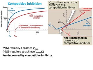 Vmax is the same in the
presence of a
competitive inhibitor
Km is increased in
presence of
competitive inhibitor
↑[S]- velocity becomes Vmax
↑[S]- required to achieve Vmax/2
Km- increased by competitive inhibitor
Competitive inhibition
 