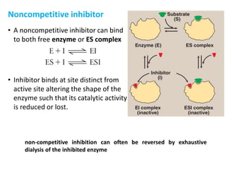 Noncompetitive inhibitor
• A noncompetitive inhibitor can bind
to both free enzyme or ES complex
• Inhibitor binds at site distinct from
active site altering the shape of the
enzyme such that its catalytic activity
is reduced or lost.
non-competitive inhibition can often be reversed by exhaustive
dialysis of the inhibited enzyme
 