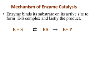 • Enzyme binds its substrate on its active site to
form E-S complex and lastly the product.
E + S ⇄ ES → E+ P
Mechanism of Enzyme Catalysis
 