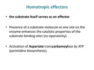 Homotropic effectors
• the substrate itself serves as an effector
• Presence of a substrate molecule at one site on the
enzyme enhances the catalytic properties of the
substrate-binding sites (co-operativity).
• Activation of Aspartate transcarbamoylase by ATP
(pyrimidine biosynthesis).
 