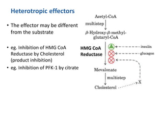 Heterotropic effectors
• The effector may be different
from the substrate
• eg. Inhibition of HMG CoA
Reductase by Cholesterol
(product inhibition)
• eg. Inhibition of PFK-1 by citrate
 