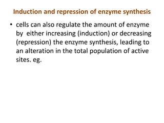 Induction and repression of enzyme synthesis
• cells can also regulate the amount of enzyme
by either increasing (induction) or decreasing
(repression) the enzyme synthesis, leading to
an alteration in the total population of active
sites. eg.
 