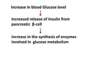 Increase in blood Glucose level
Increased release of Insulin from
pancreatic β-cell
increase in the synthesis of enzymes
involved in glucose metabolism
 