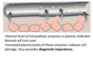 •Normal level of intracellular enzymes in plasma: Indicates
Normal cell turn over.
•Increased plasma levels of these enzymes: indicate cell
damage, thus provides diagnostic importance.
 