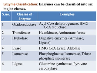Enzyme Classification: Enzymes can be classified into six
major classes.
S.no. Classes of
Enzyme
Examples
1 Oxidoreductase Acyl CoA dehydrogenase, HMG
CoA reductase
2 Transferase Hexokinase, Aminotransferase
3 Hydrolase Digestive enzymes (Amylase,
Lipase)
4 Lyase HMG CoA Lyase, Aldolase
5 Isomerase Phosphoglucose Isomerase, Triose
phosphate isomerase
6 Ligase Glutamine synthetase, Pyruvate
carboxylase
 