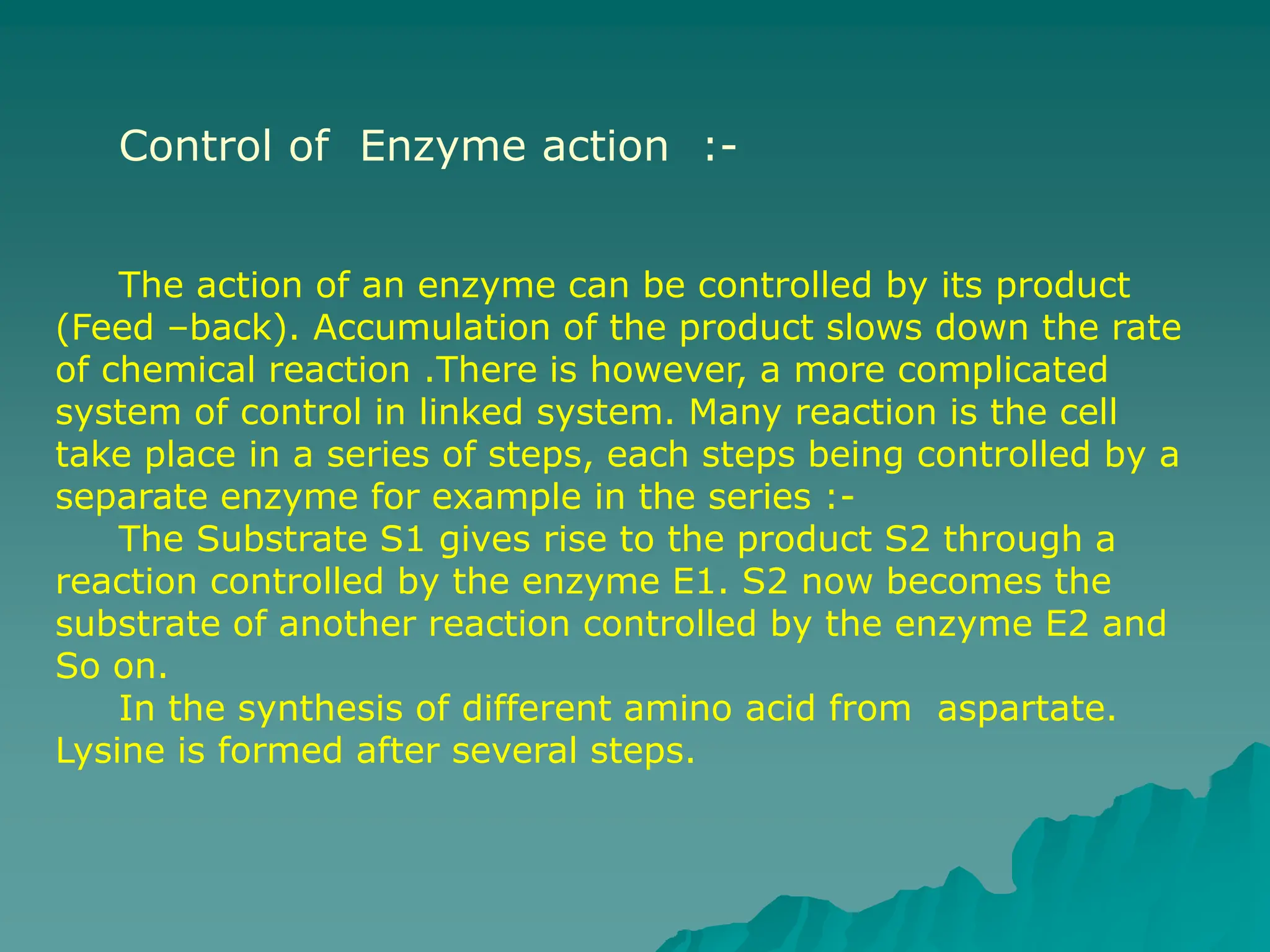 enzyme biochemistry 00000000000000000000 | PPT