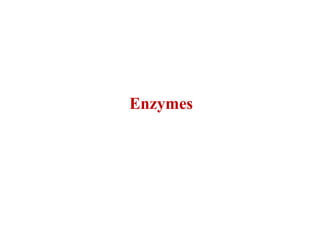 Enzymes
 