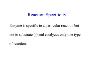 Reaction Specificity Example Enzyme | PDF