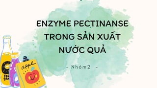 ENZYME PECTINANSE
TRONG SẢN XUẤT
NƯỚC QUẢ
 