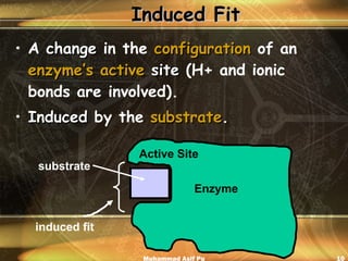 Induced Fit A  change  in the  configuration  of an  enzyme’s active  site  (H+ and ionic bonds are involved). Induced  by the  substrate . Muhammad Asif Pu Enzyme Active Site substrate induced fit 