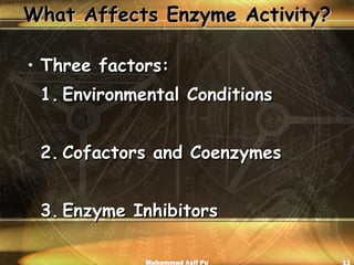 What Affects Enzyme Activity? Three factors: 1. Environmental Conditions 2. Cofactors and Coenzymes 3. Enzyme Inhibitors Muhammad Asif Pu 