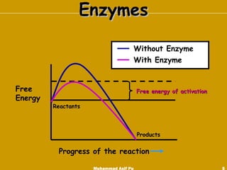 Enzymes Muhammad Asif Pu Free Energy Progress of the reaction Reactants Products Free energy of activation Without Enzyme With Enzyme 