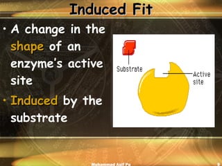 Induced Fit A change in the  shape  of an enzyme’s active site Induced  by the substrate Muhammad Asif Pu 