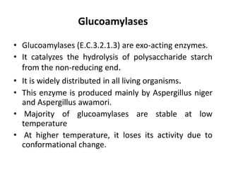 Glucoamylases
• Glucoamylases (E.C.3.2.1.3) are exo-acting enzymes.
• It catalyzes the hydrolysis of polysaccharide starch
from the non-reducing end.
• It is widely distributed in all living organisms.
• This enzyme is produced mainly by Aspergillus niger
and Aspergillus awamori.
• Majority of glucoamylases are stable at low
temperature
• At higher temperature, it loses its activity due to
conformational change.
 