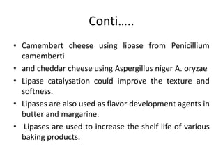 Conti…..
• Camembert cheese using lipase from Penicillium
camemberti
• and cheddar cheese using Aspergillus niger A. oryzae
• Lipase catalysation could improve the texture and
softness.
• Lipases are also used as flavor development agents in
butter and margarine.
• Lipases are used to increase the shelf life of various
baking products.
 