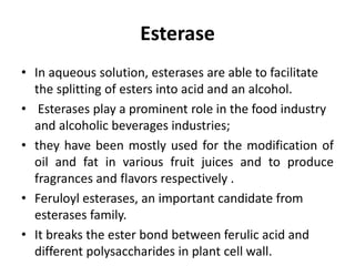Esterase
• In aqueous solution, esterases are able to facilitate
the splitting of esters into acid and an alcohol.
• Esterases play a prominent role in the food industry
and alcoholic beverages industries;
• they have been mostly used for the modification of
oil and fat in various fruit juices and to produce
fragrances and flavors respectively .
• Feruloyl esterases, an important candidate from
esterases family.
• It breaks the ester bond between ferulic acid and
different polysaccharides in plant cell wall.
 