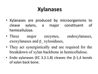 Xylanases
• Xylanases are produced by microorganisms to
cleave xylans, a major constituent of
hemicellulose.
• Three major enzymes, endoxylanases,
exoxylanases and _ xylosidases,
• They act synergistically and are required for the
breakdown of xylan backbone in hemicellulose.
• Endo xylanases (EC 3.2.1.8) cleaves the -1,4 bonds
of xylan back bone.
 