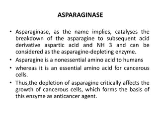 ASPARAGINASE
• Asparaginase, as the name implies, catalyses the
breakdown of the asparagine to subsequent acid
derivative aspartic acid and NH 3 and can be
considered as the asparagine-depleting enzyme.
• Asparagine is a nonessential amino acid to humans
• whereas it is an essential amino acid for cancerous
cells.
• Thus,the depletion of asparagine critically affects the
growth of cancerous cells, which forms the basis of
this enzyme as anticancer agent.
 