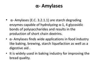 α- Amylases
• α- Amylases (E.C. 3.2.1.1) are starch degrading
enzymes capable of hydrolyzing α-1, 4 glycosidic
bonds of polysaccharides and results in the
production of short chain dextrins.
• α- Amylases finds wide applications in food industry
like baking, brewing, starch liquefaction as well as a
digestive aid .
• It is widely used in baking industry for improving the
bread quality.
 