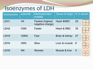 Isoenzymes of LDH
Isoenzymes subunits Electrophoretic
mobility
Tissue of origin % in serum
LDH1 H4 Fastest (highest
negative charge)
Heart &RBC 25
LDH2 H3M Faster Heart & RBC 35
LDH3 H2M2 Fast Brain & kidney 27
LDH4 HM3 Slow Liver & muscle 8
LDH5 M4 Slowest Muscle & liver 5
 