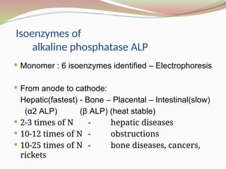 Isoenzymes of
alkaline phosphatase ALP
 Monomer : 6 isoenzymes identified – Electrophoresis
 From anode to cathode:
Hepatic(fastest) - Bone – Placental – Intestinal(slow)
(α2 ALP) (β ALP) (heat stable)
 2-3 times of N - hepatic diseases
 10-12 times of N - obstructions
 10-25 times of N - bone diseases, cancers,
rickets
 