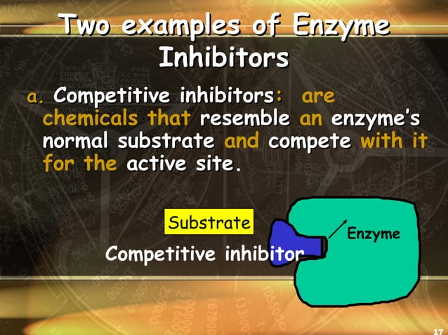 Enzymes: Biological Catalysts & Accelerators | PPT