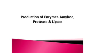 Production of Enzymes-Amylase,
Protease & Lipase
 