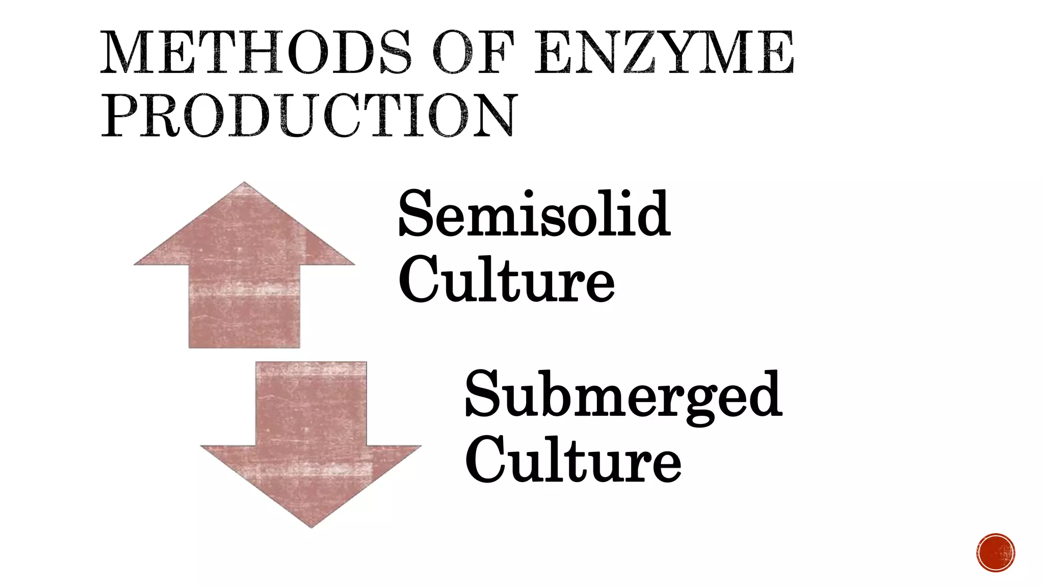 Semisolid
Culture
Submerged
Culture
 