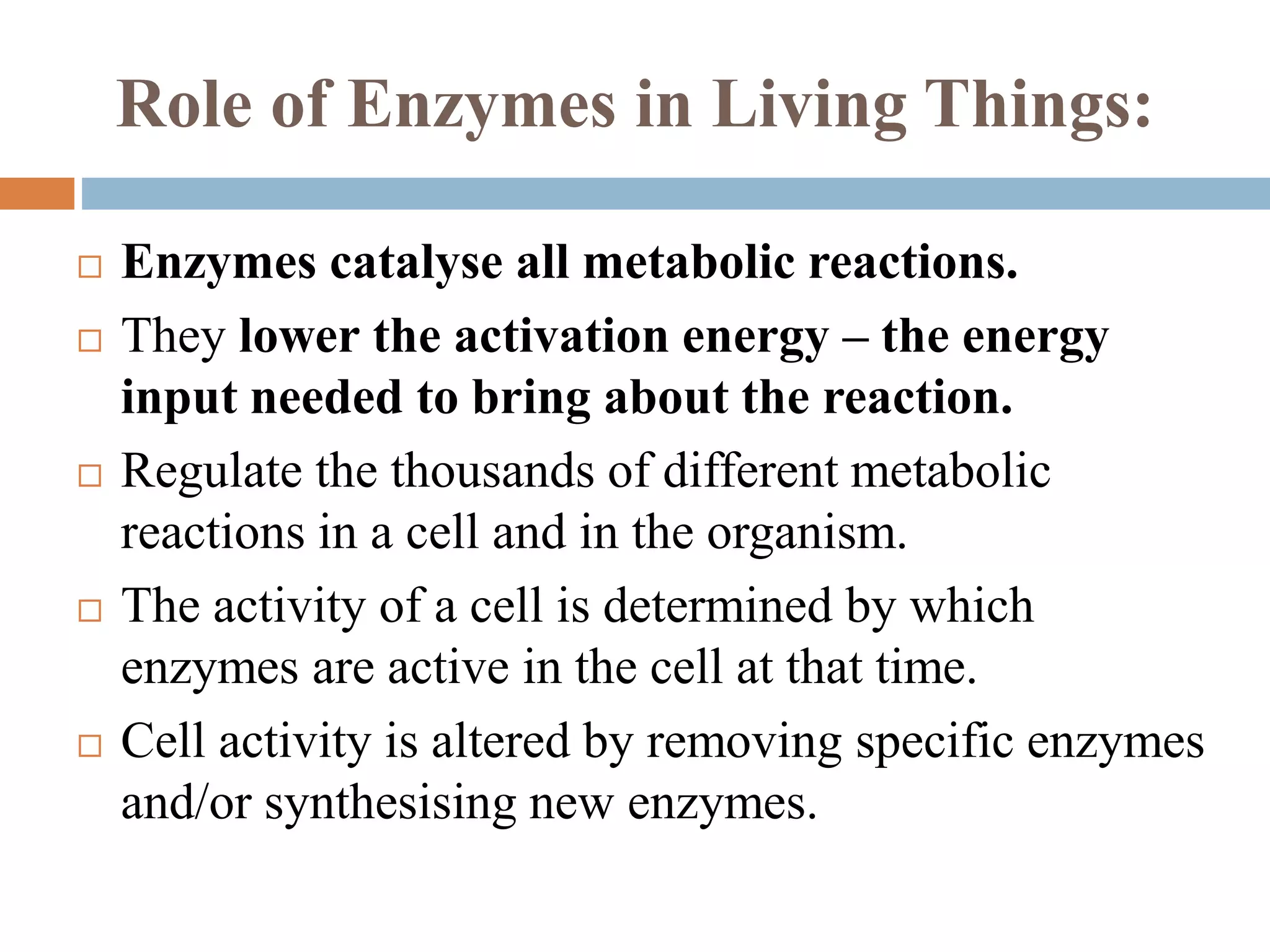 Role of Enzymes in Living Things:
 Enzymes catalyse all metabolic reactions.
 They lower the activation energy – the energy
input needed to bring about the reaction.
 Regulate the thousands of different metabolic
reactions in a cell and in the organism.
 The activity of a cell is determined by which
enzymes are active in the cell at that time.
 Cell activity is altered by removing specific enzymes
and/or synthesising new enzymes.
 
