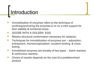 Introduction
 Immobilization of enzymes refers to the technique of
confining/anchoring the enzymes in or on a inert support for
their stability & functional reuse.
 GOOSE WITH A GOLDEN EGG
 Retains structural conformation necessary for catalysis.
 Techniques for immobilization of enzymes are – adsorption,
entrapment, microencapsulation, covalent binding, & cross-
linking.
 Immobilized enzymes are broadly of two types - batch reactors
& continuous reactors.
 Choice of reactor depends on the cost of a predetermined
product.
 