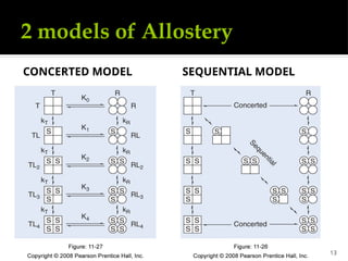 Comprehensive Overview of Enzyme Regulation Mechanisms in Biological ...