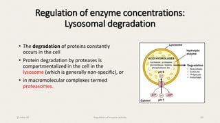 • The degradation of proteins constantly
occurs in the cell
• Protein degradation by proteases is
compartmentalized in the cell in the
lysosome (which is generally non-specific), or
• in macromolecular complexes termed
proteasomes.
Regulation of enzyme concentrations:
Lysosomal degradation
15-May-20 Regulation of enzyme activity 10
 
