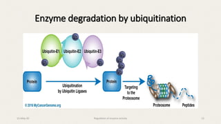Enzyme degradation by ubiquitination
15-May-20 Regulation of enzyme activity 12
 