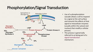 Phosphorylation/Signal Transduction
• Use of a phosphorylation
cascade allows a cell to respond
to a signal at the cell surface
and transmit the effects of that
signal to intracellular enzymes
(usually within the cytosol and
nucleus) that modify a cellular
process.
• This process is generically
referred to as being part of a
signal transduction
mechanism.
15-May-20 Regulation of enzyme activity 24
 
