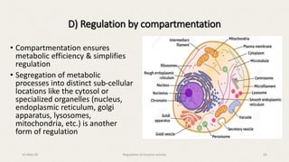 • Compartmentation ensures
metabolic efficiency & simplifies
regulation
• Segregation of metabolic
processes into distinct sub-cellular
locations like the cytosol or
specialized organelles (nucleus,
endoplasmic reticulum, golgi
apparatus, lysosomes,
mitochondria, etc.) is another
form of regulation
D) Regulation by compartmentation
15-May-20 Regulation of enzyme activity 26
 