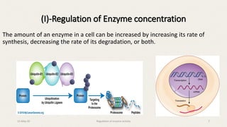 The amount of an enzyme in a cell can be increased by increasing its rate of
synthesis, decreasing the rate of its degradation, or both.
(I)-Regulation of Enzyme concentration
15-May-20 Regulation of enzyme activity 7
 