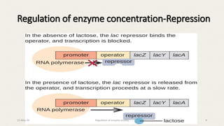Regulation of enzyme concentration-Repression
15-May-20 Regulation of enzyme activity 9
 