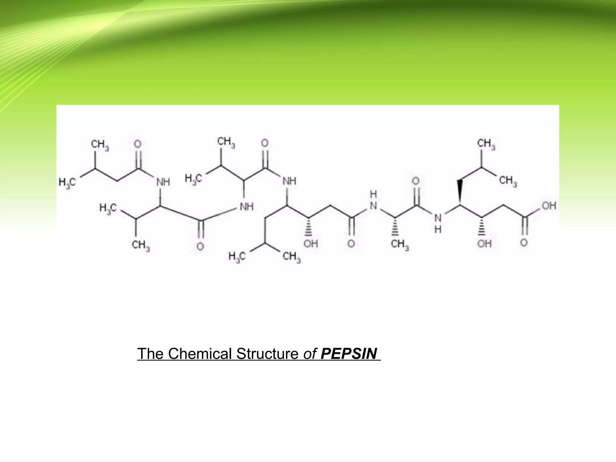 The Chemical Structure of PEPSIN
 
